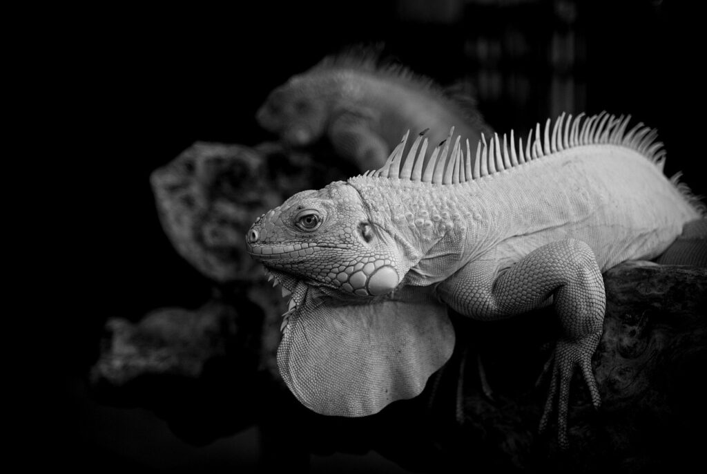 膣萎縮のレーザー治療にはどのような効果があるのか？