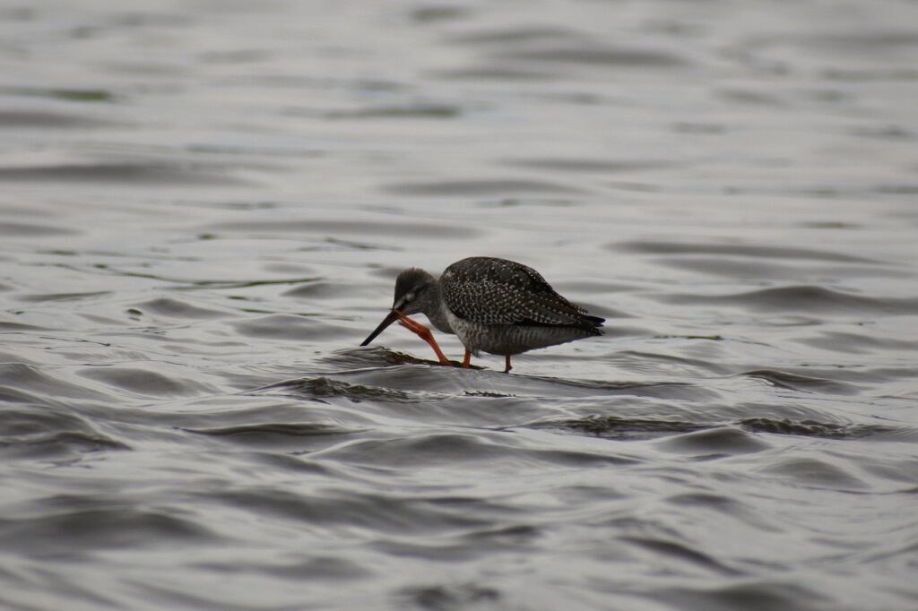 デリケートゾーンの痒みを和らげるサプリはどれが効果的？