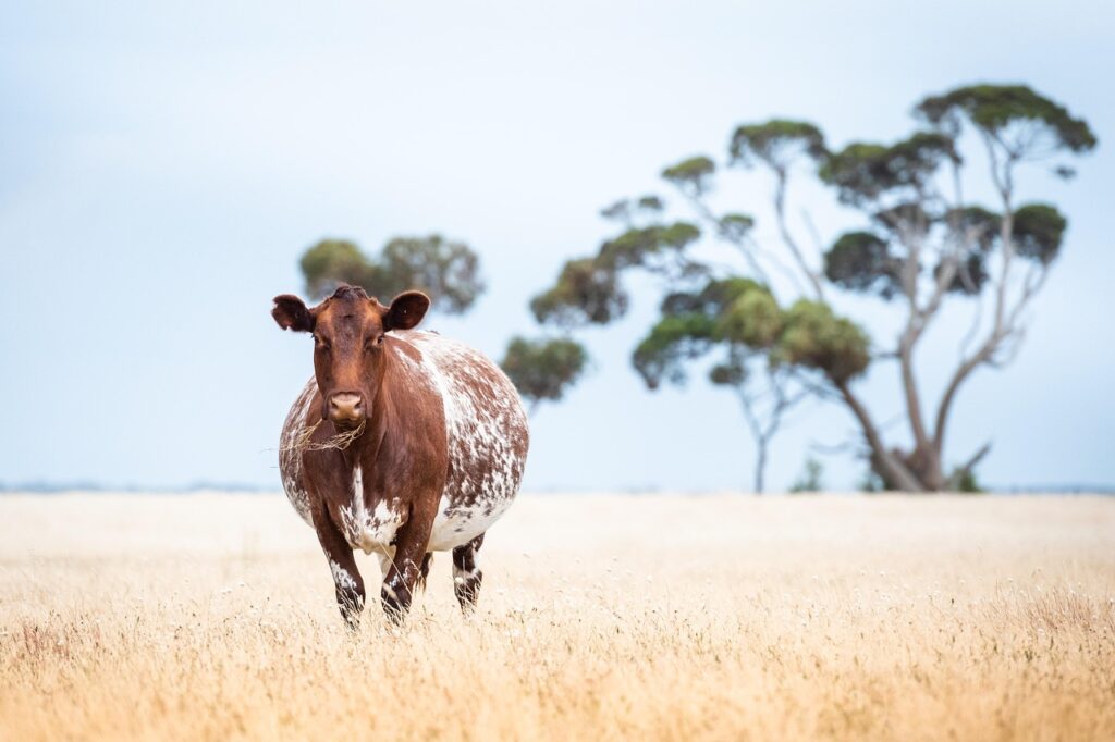 膣ケアで生理中の肌荒れ防止に効果的な方法は？