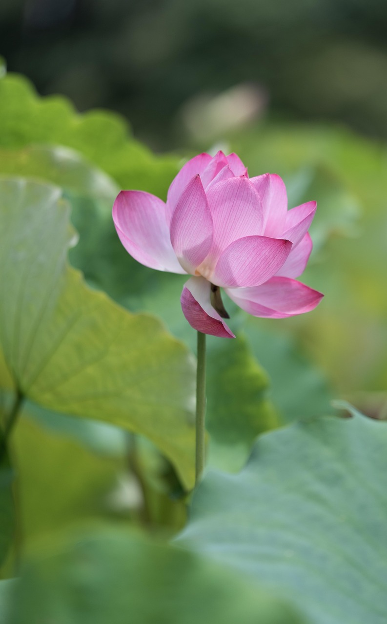 膣ケアに効果的なヨガ初心者向けの膣底筋エクササイズは？