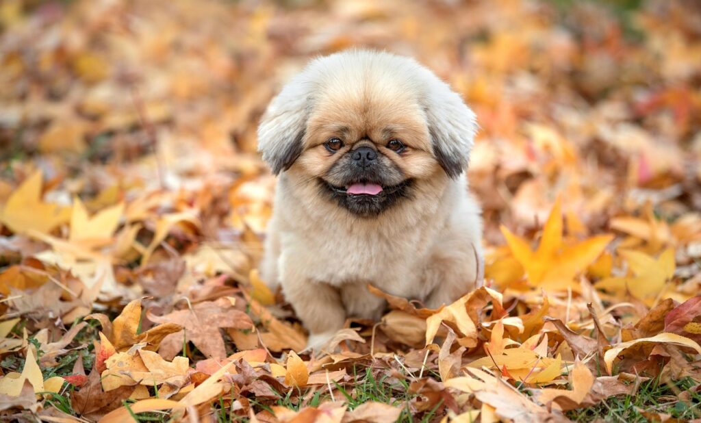 黒ずみを解消するデリケートゾーン用化粧品はどれがおすすめ？