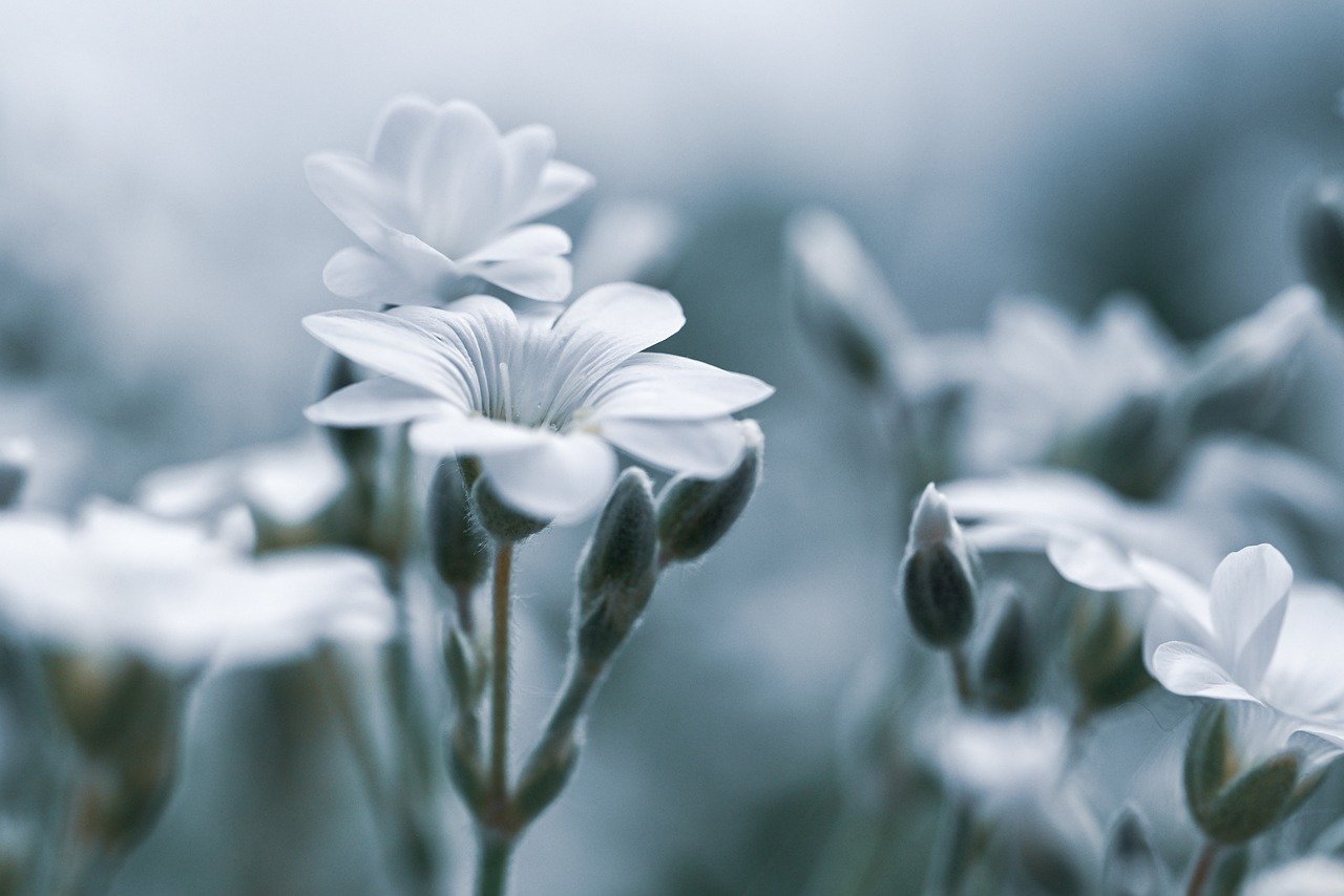 デリケートゾーン専用クリームで黒ずみを解消する方法は？