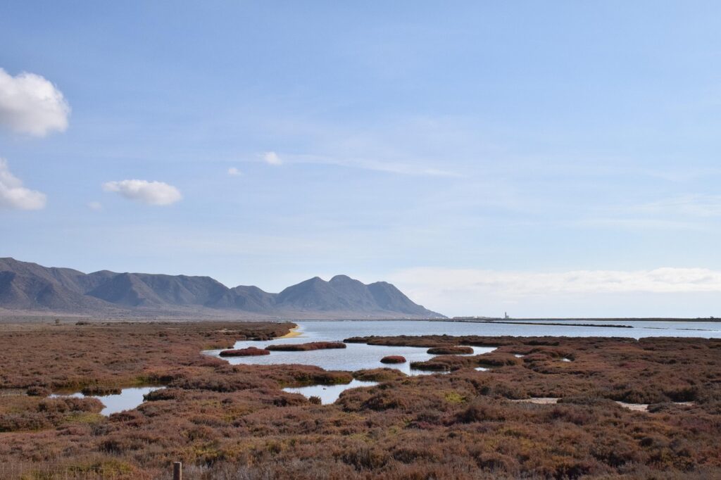生理前の臭いが酷い時の対処法は？
