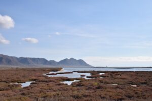 生理前の臭いが酷い時の対処法は？