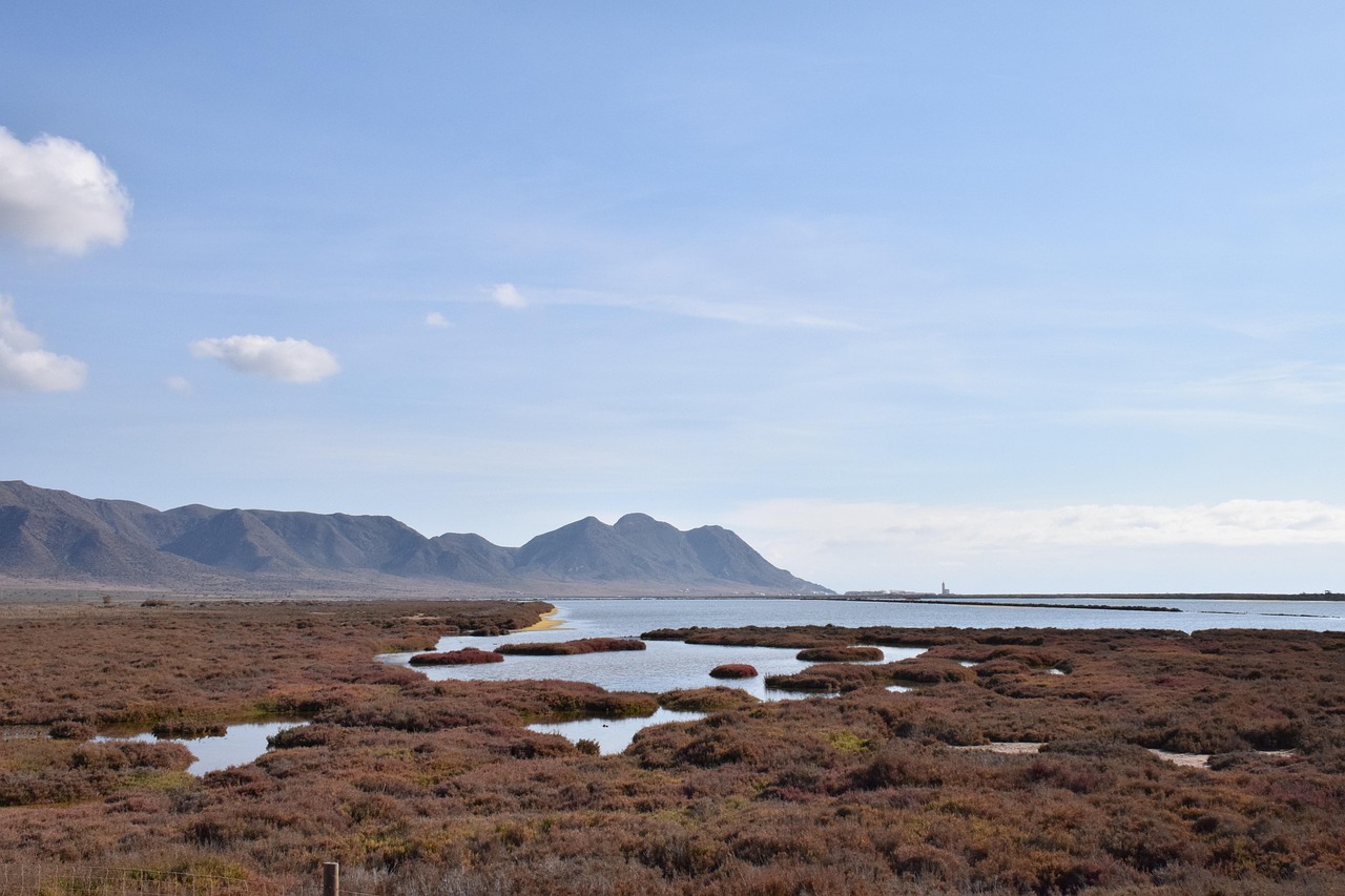 生理前の臭いが酷い時の対処法は？