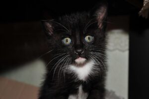 Iラインの黒ずみをケアする方法とは？