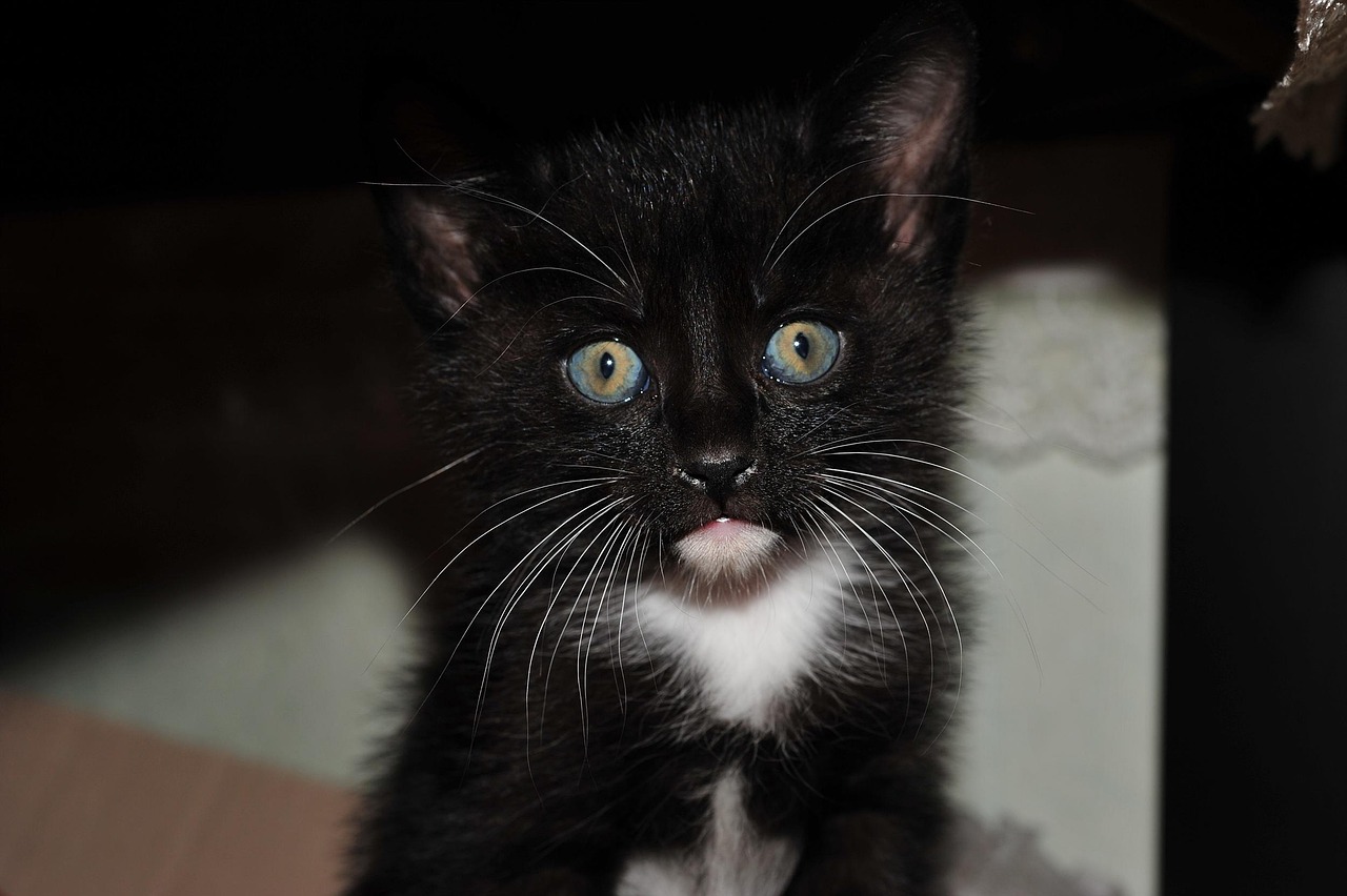 Iラインの黒ずみをケアする方法とは？