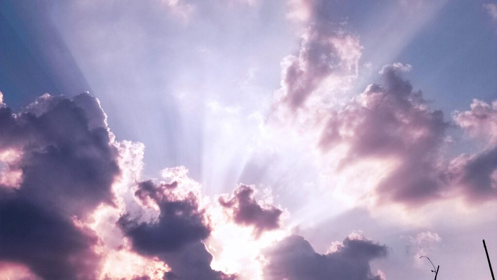 フェムケアオイルの効果と匂いについて知っておくべきことは？