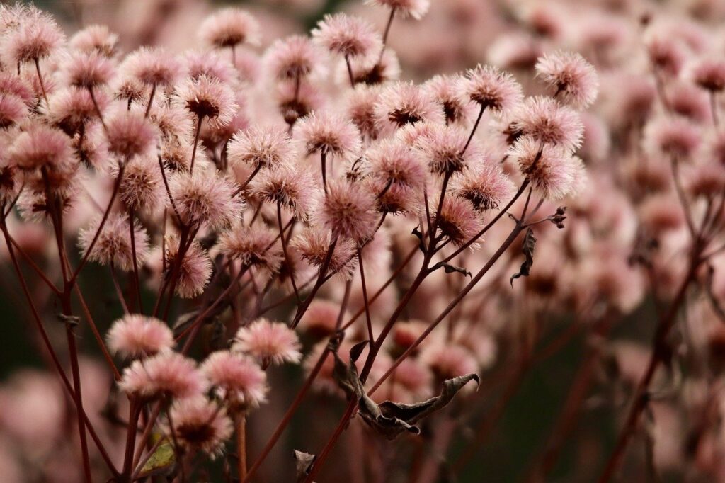 デリケートゾーンの臭いと黒ずみを改善するためのおすすめソープは？