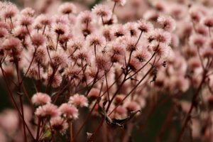 デリケートゾーンの臭いと黒ずみを改善するためのおすすめソープは？