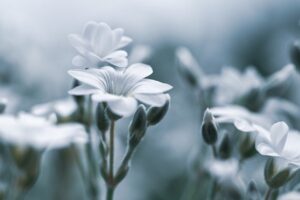 デリケートゾーンの臭いと黒ずみケアは何から始めるべき？