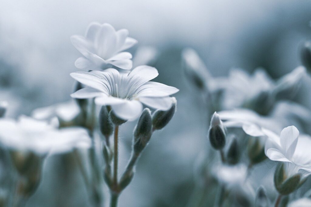 デリケートゾーンの黒ずみが産後にひどくなった場合の対処法は？