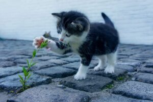 デリケートゾーンのにおいを解消する石鹸はどれが効果的？