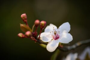 デリケートゾーンの悩みを解消するための総まとめはこれで決まり？