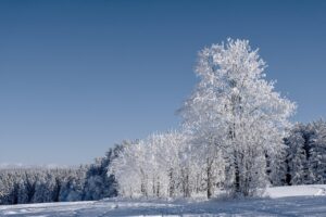 デリケートゾーンの臭いが冬でも気になる原因は何？